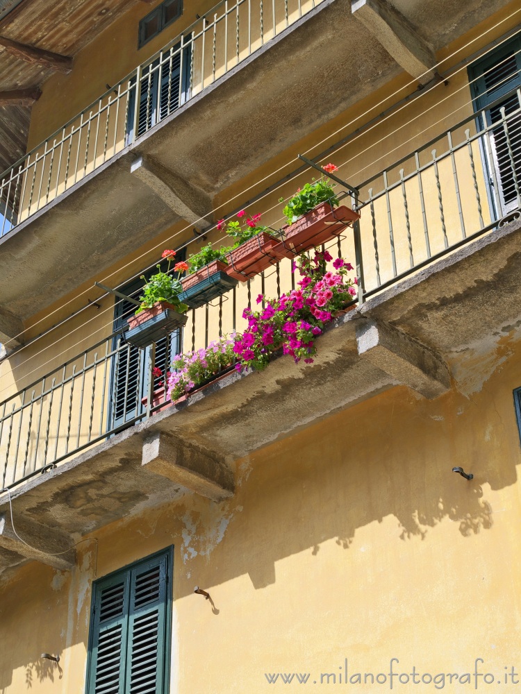 Campiglia Cervo (Biella, Italy) - Balcony with flowers in the fraction Valmosca